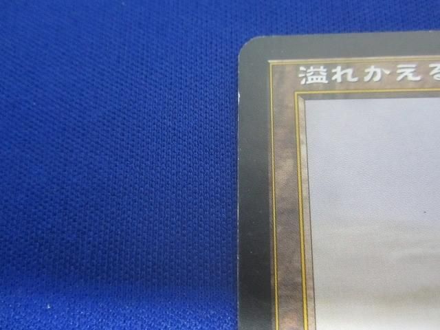 ザ ギャザリング