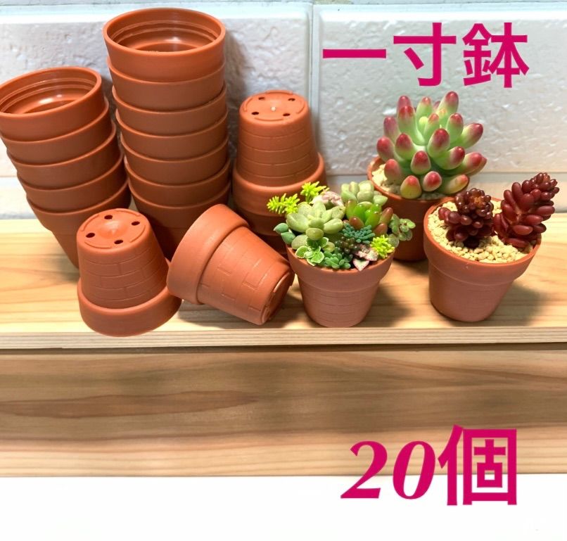 オンライン販売店 日本ポリ鉢販売(Japan Porihachi Hanbai) ポリ鉢 一寸鉢4000鉢入 NI-105 茶 4000入 鉢、プランター  ENTEIDRICOCAMPANO
