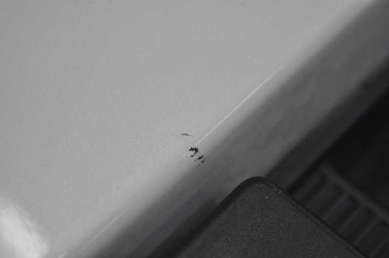 フォグランプ付 Fバンパー