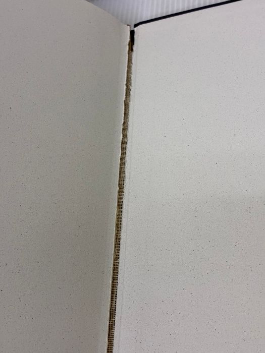 イタミ有り Frank Lloyd Wright Architect Harry N. Abrams Inc. Riley Terence USTAUSTRALIA_COM_AU