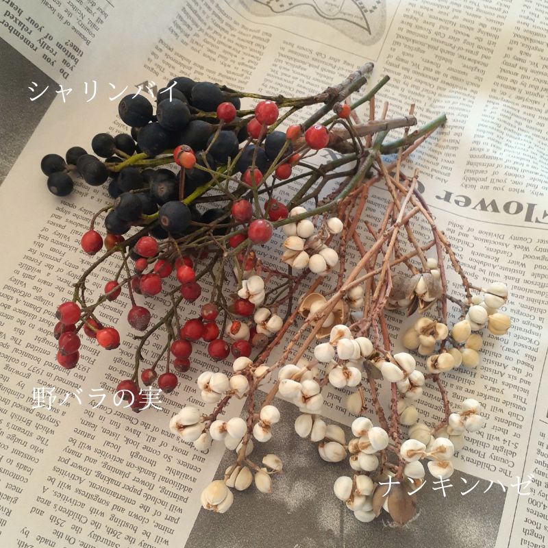 松ぼっくり 木の実 ドライフラワー いろいろ 詰め合わせ ハンドメイド 
