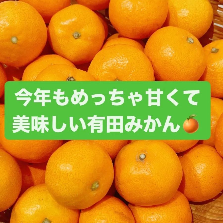 有田みかん🍊2kgＢ級品 SS〜2L甘くて美味しいよ😋 味はA級品！！