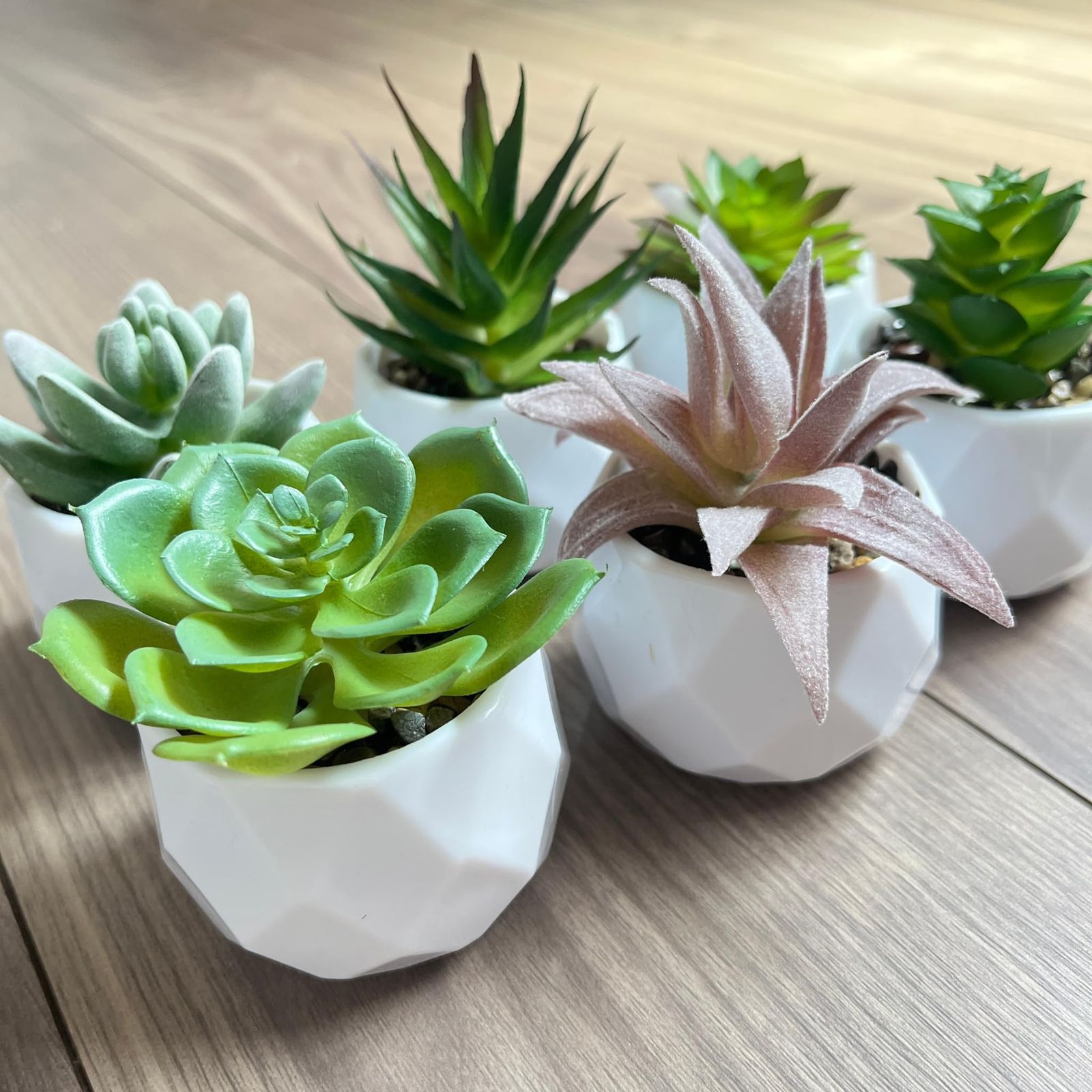 プラクルアン 4耳5眼幸運の天使 かわいいシーフーハータ レア ビジネス