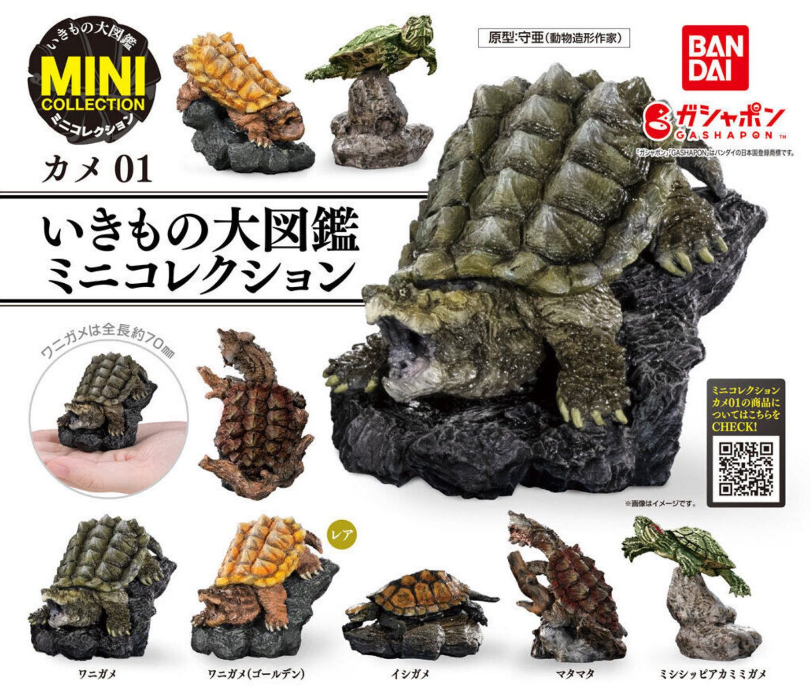 希少　新品 いきもの大図鑑 かに 01 第1弾　全4種フルコンプ 希少 新品 いきもの大図鑑 かに 01 第1弾 全4種フルコンプ Amazon.