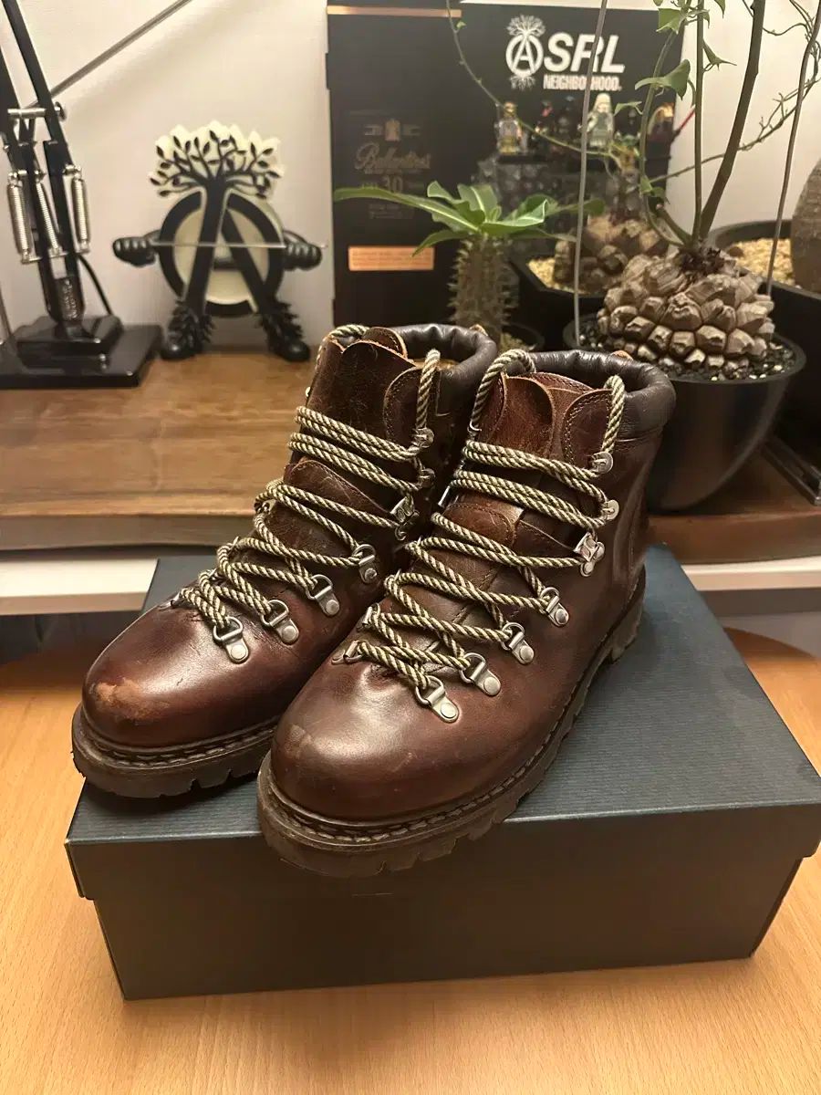 パラブーツ アヴォリアーズ UK8 5