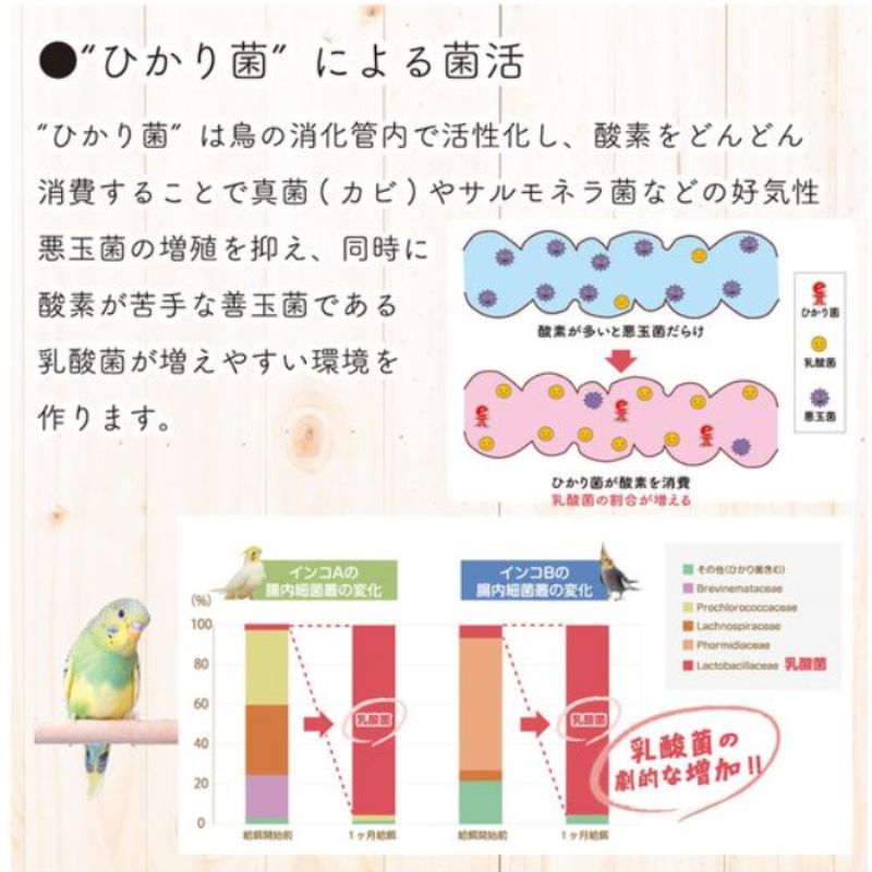 パウダー 餌