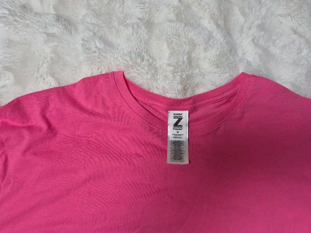 ズンバクロップTシャツ M