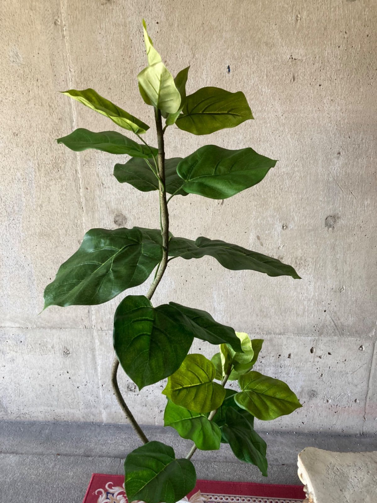 認識の高い 光触媒 人工観葉植物 ウォールグリーン フェイクグリーン ダブルウンベラータ115jga