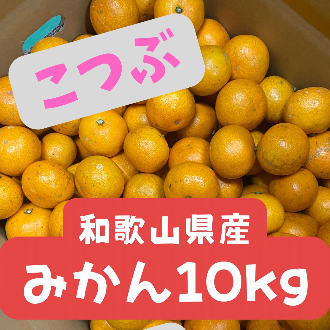 2日以内発送【小粒みかん】10kg 和歌山県産 蔵出し - メルカリ