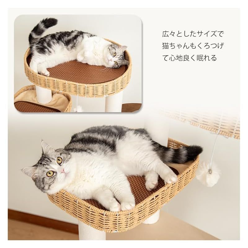 涼しいゴザ付 ふわふわクッション付