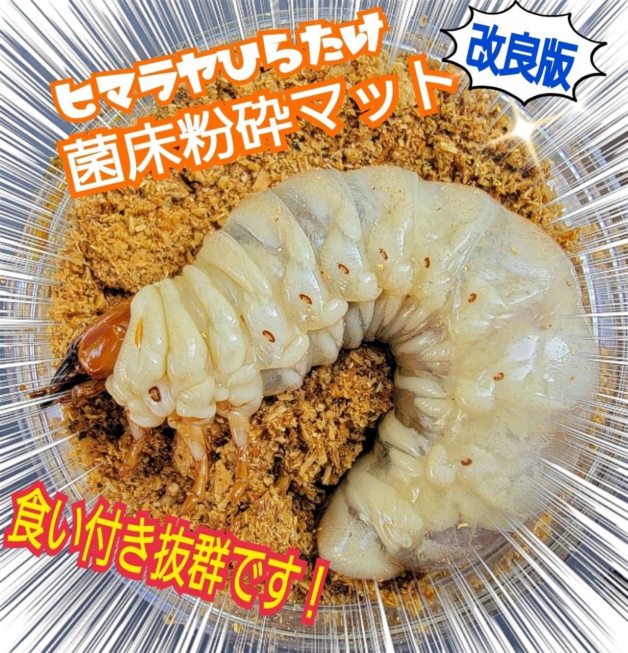 最強のカブトムシマット!300リットル ヒマラヤひらたけ発酵 最強のカブトムシマット!300リットル ヒマラヤひらたけ発酵