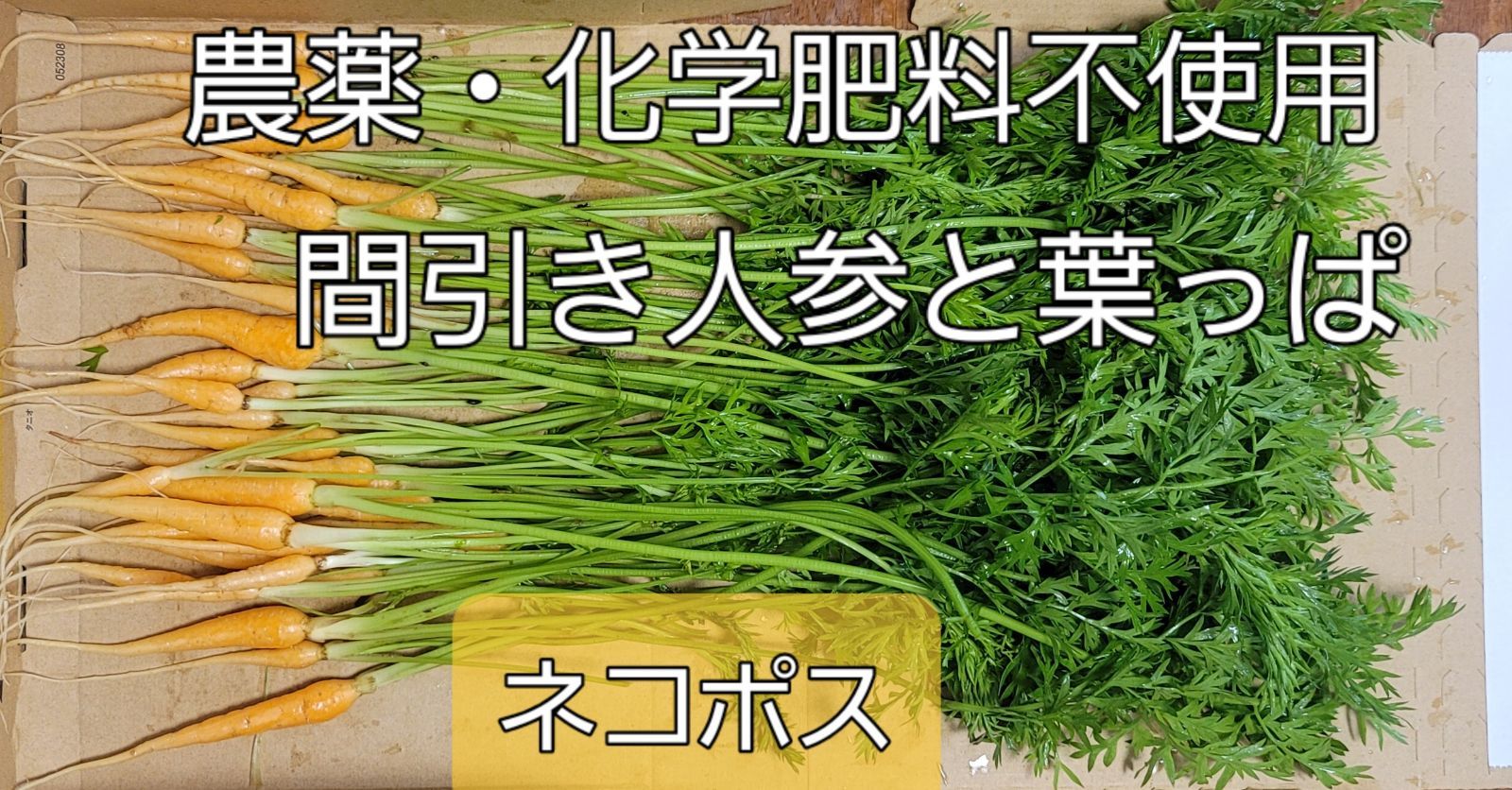 無農薬 にんじんの葉っぱ （茨城の無農薬葉付き人参5パック