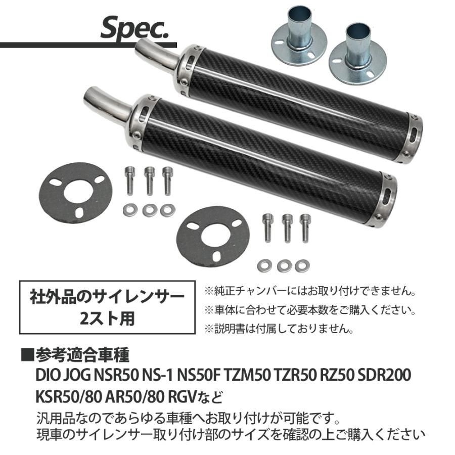 NSR250R TZR250 NSR250R RGV250 R1-Z RZ250 RD250 400 RG250 カーボン
