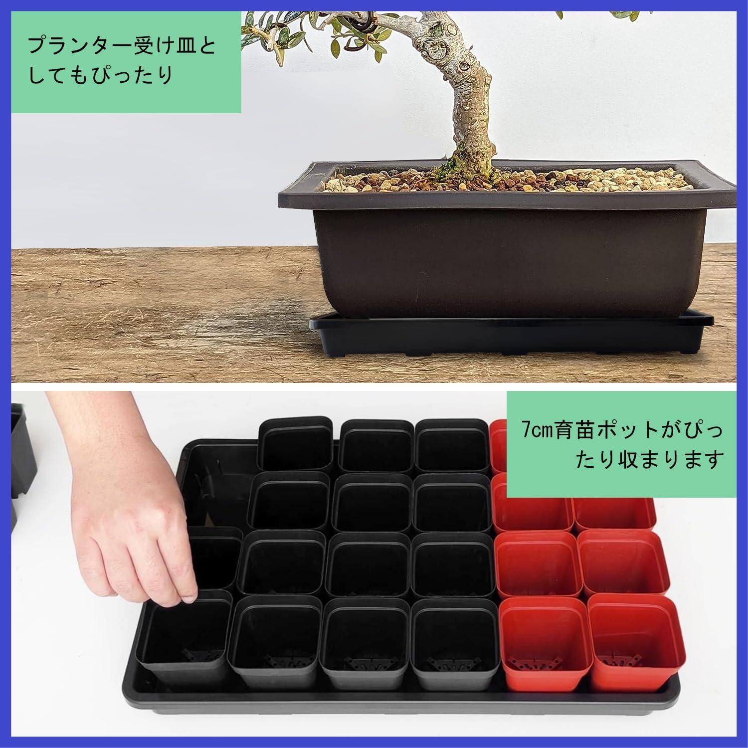 15個 苗用プラスチックポット 水を受けるプランタープレート アキノキリンソウ ポットトレイ 植物用