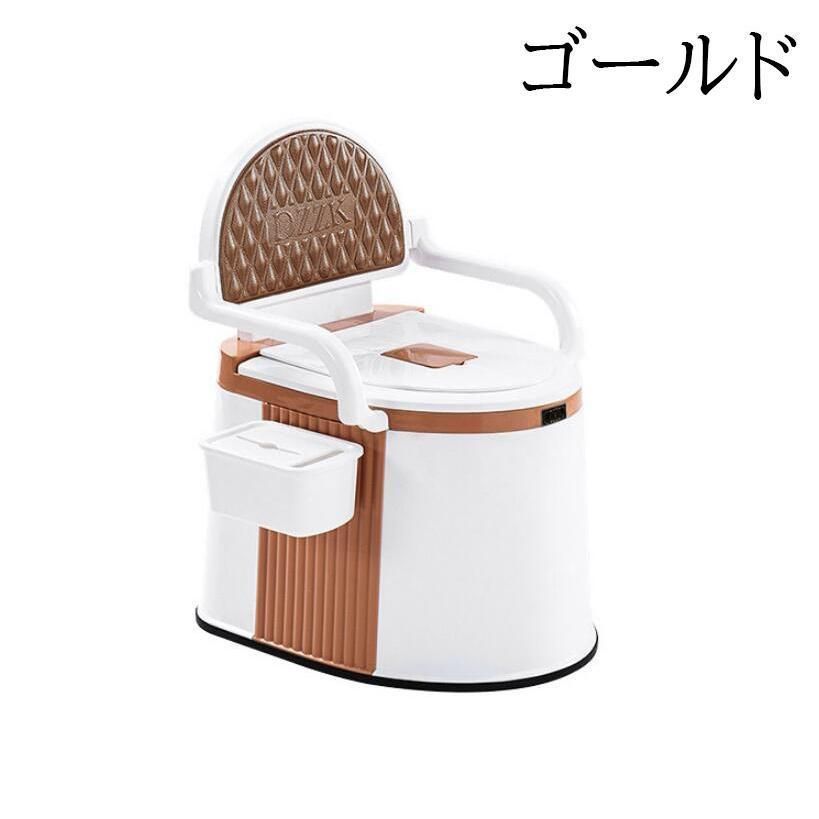 便器 屋内