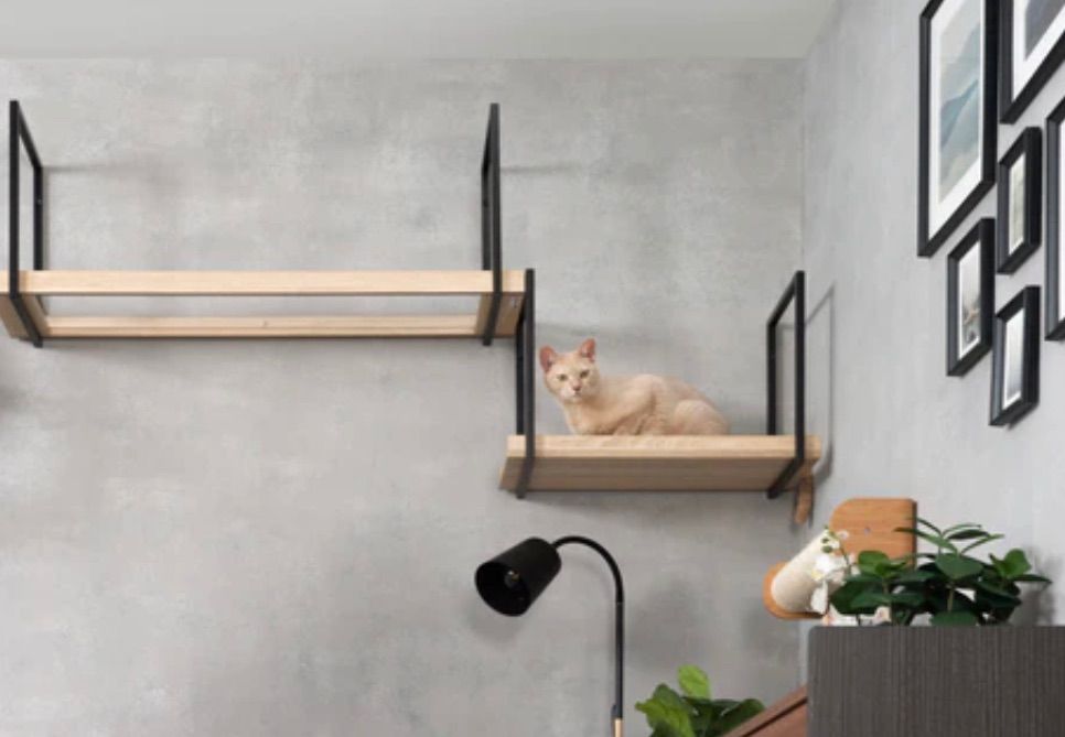 MYZOO マイズー AVENUE アベニュー キャットウォーク 壁 猫 運動 不足 キャットステップ ペットグッズインスタ映え インテリア 100cm