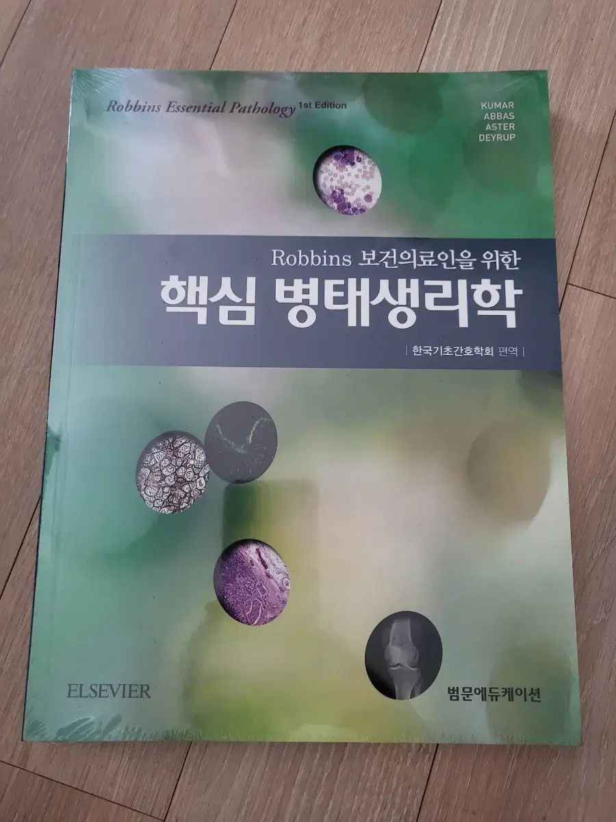 人相学大全 人相学の百科事典