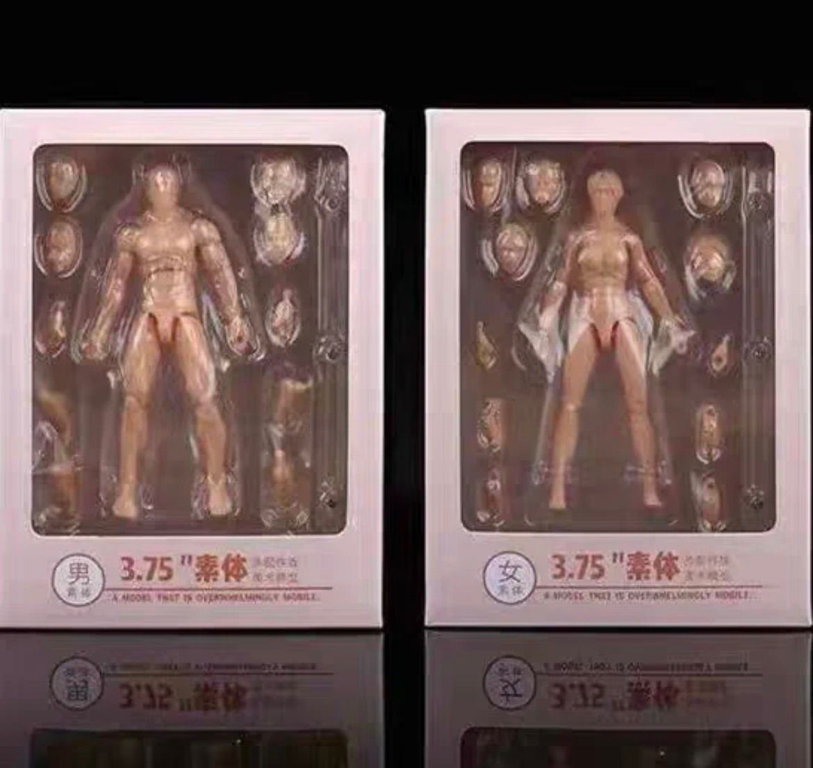 1/18 フィギュア 素体 ヘッド 男性モデル 15cm 関節可動 替え