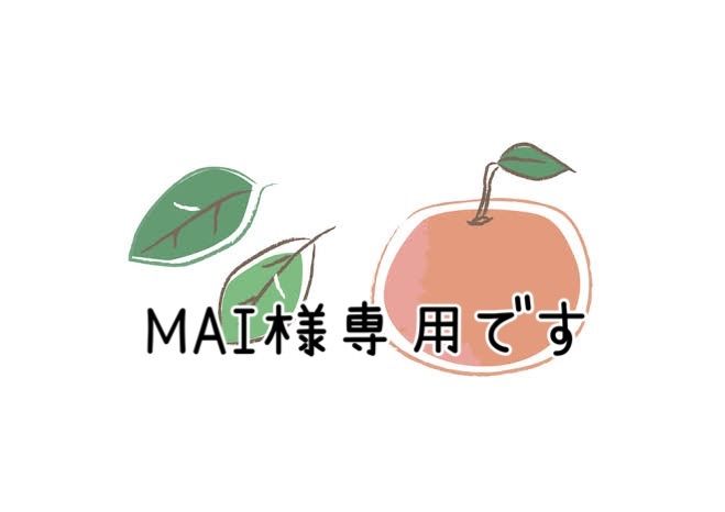 プロフィール必読MAI様専用です - メルカリ