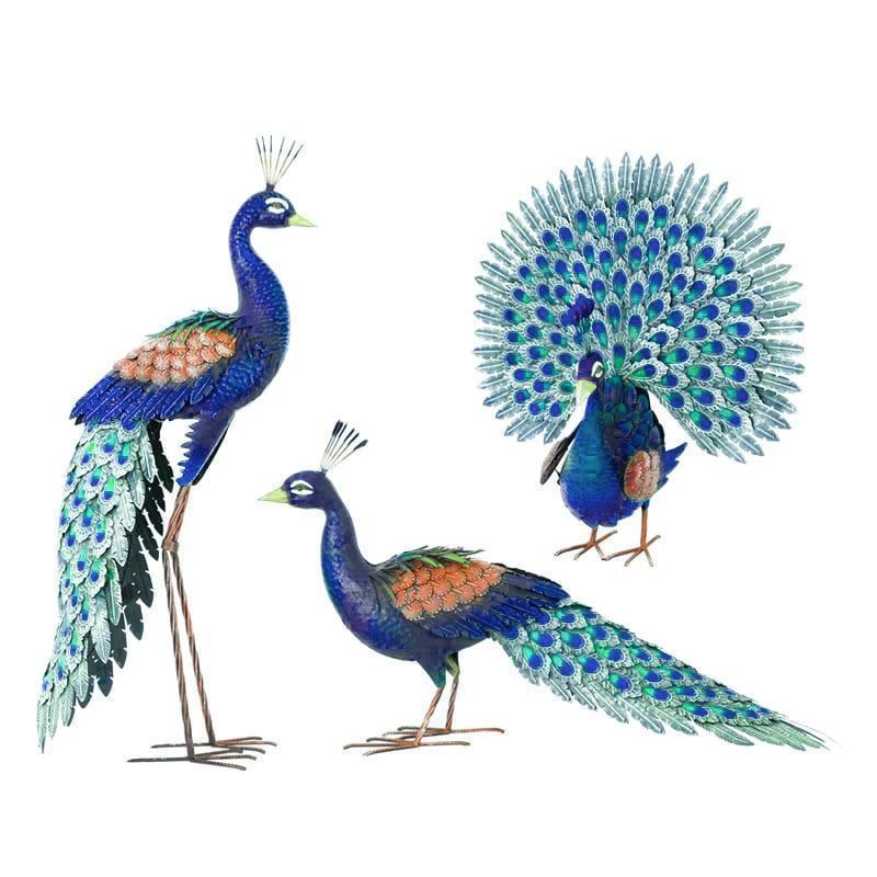 鳥
