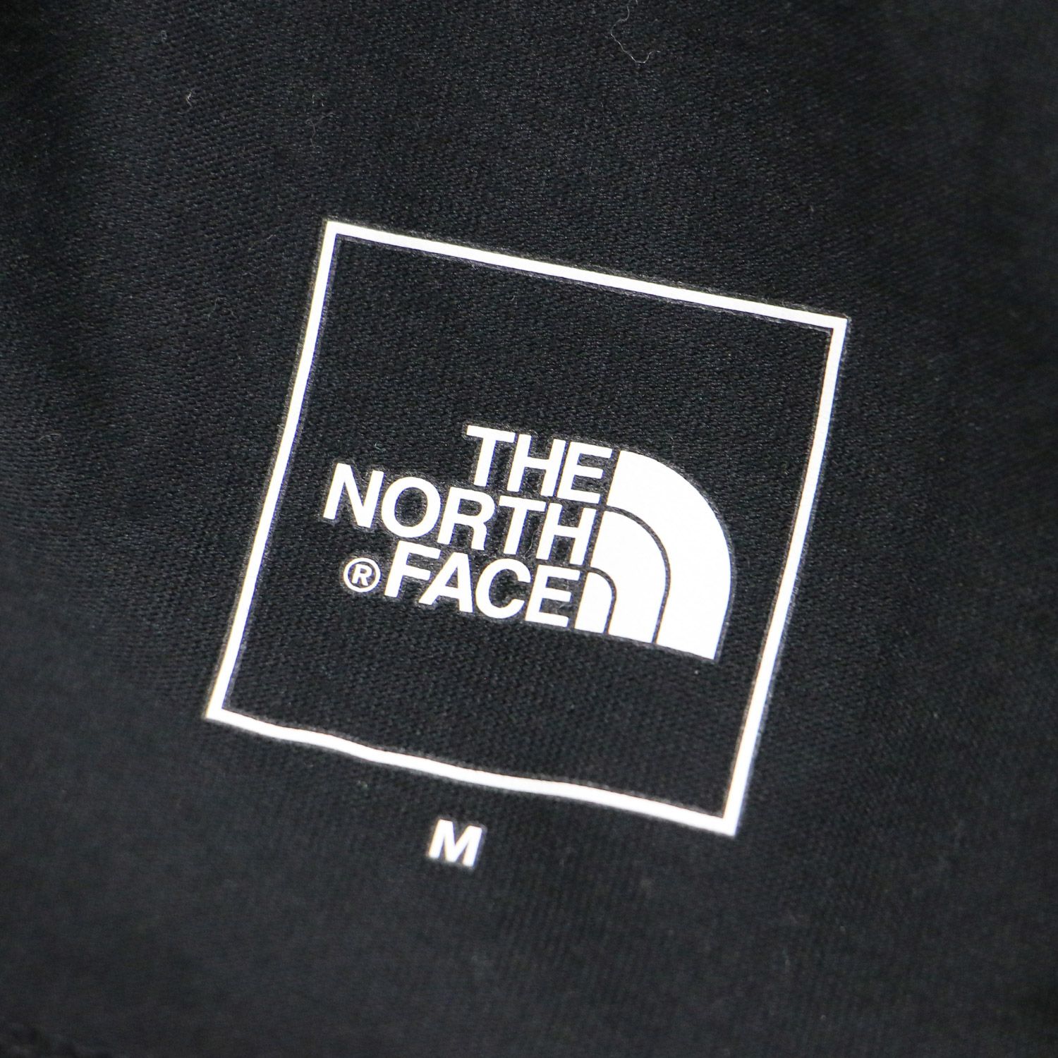 THE NORTH FACE ノースフェイス カットソー ブラック 黒 サイズ:M | 24