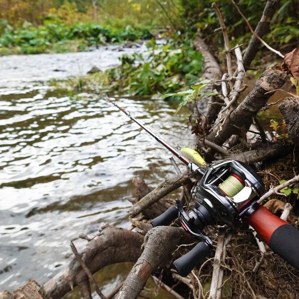 フィッシュマン ビームス ローワー 6.2L / Fishman Beams LOWER 6.2L