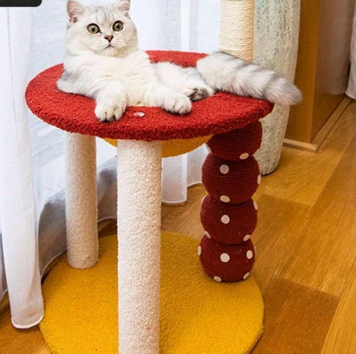 猫用爪とぎボード 踏み台