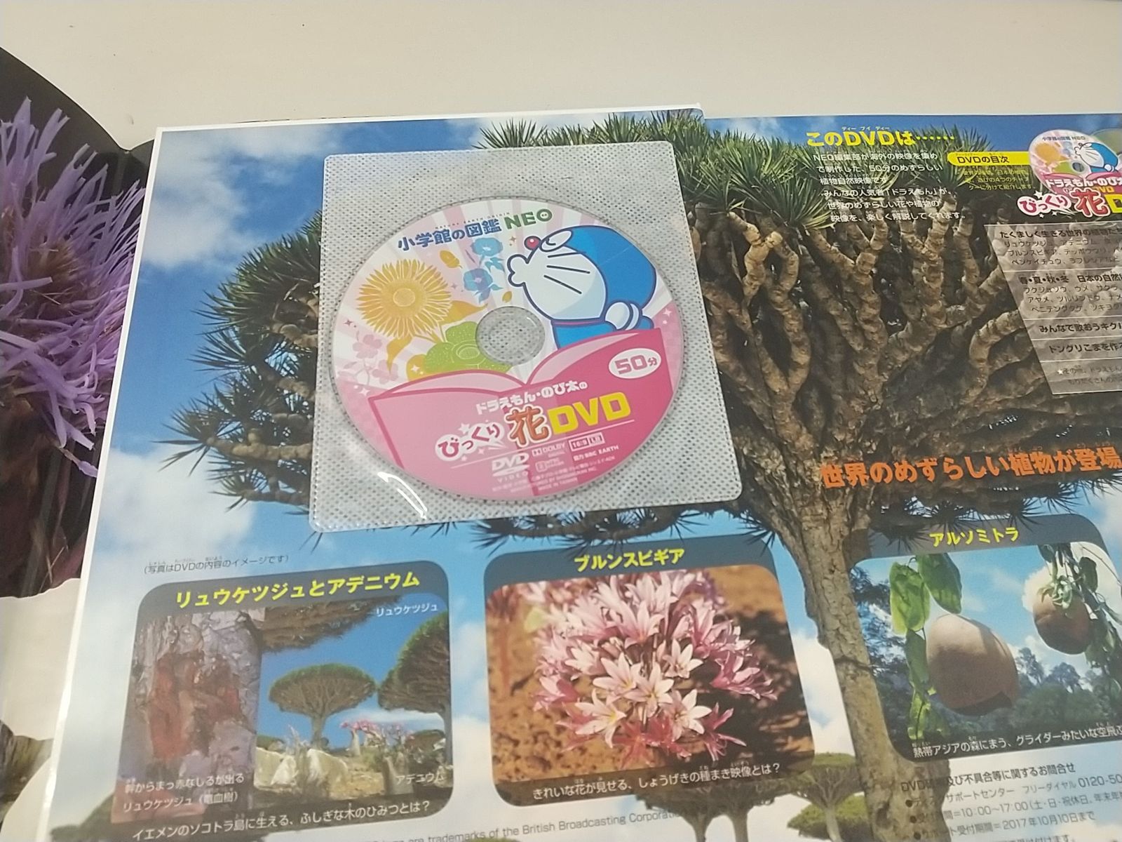まとめ売り・バラ売り不可】小学館の図鑑NEO 全9巻セット 2504-Sat-22