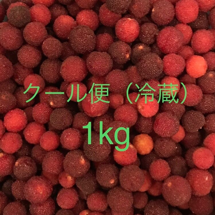 ヤマモモ,山桃,その他-果物『3kg』