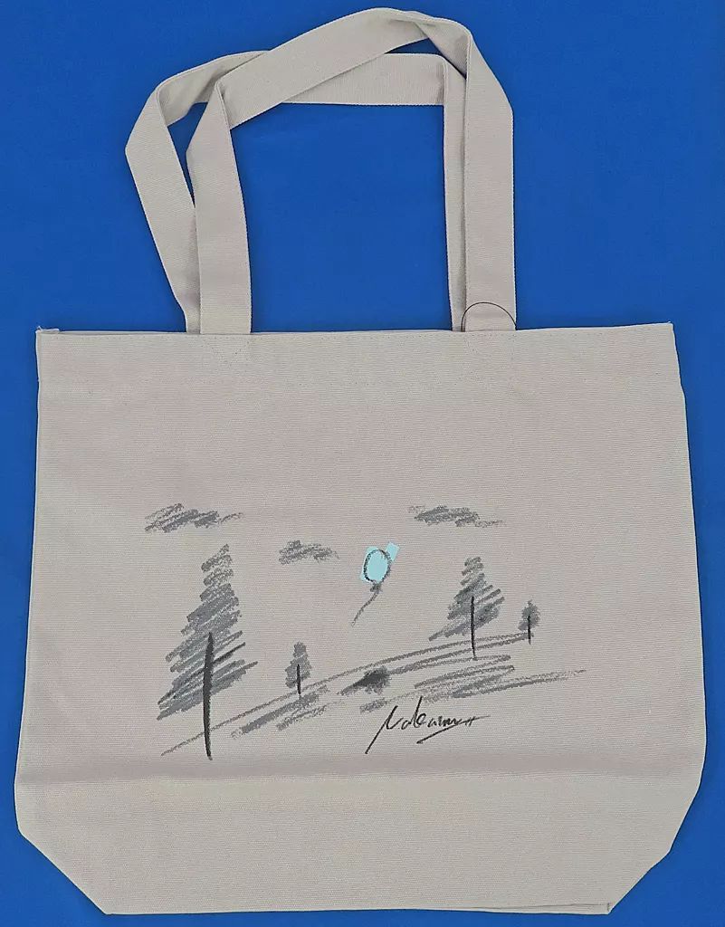 中古 バッグ Nakamu ワイテルズ コラボトートバッグ ライトグレー Nakamu KANGOL REWARD - メルカリ