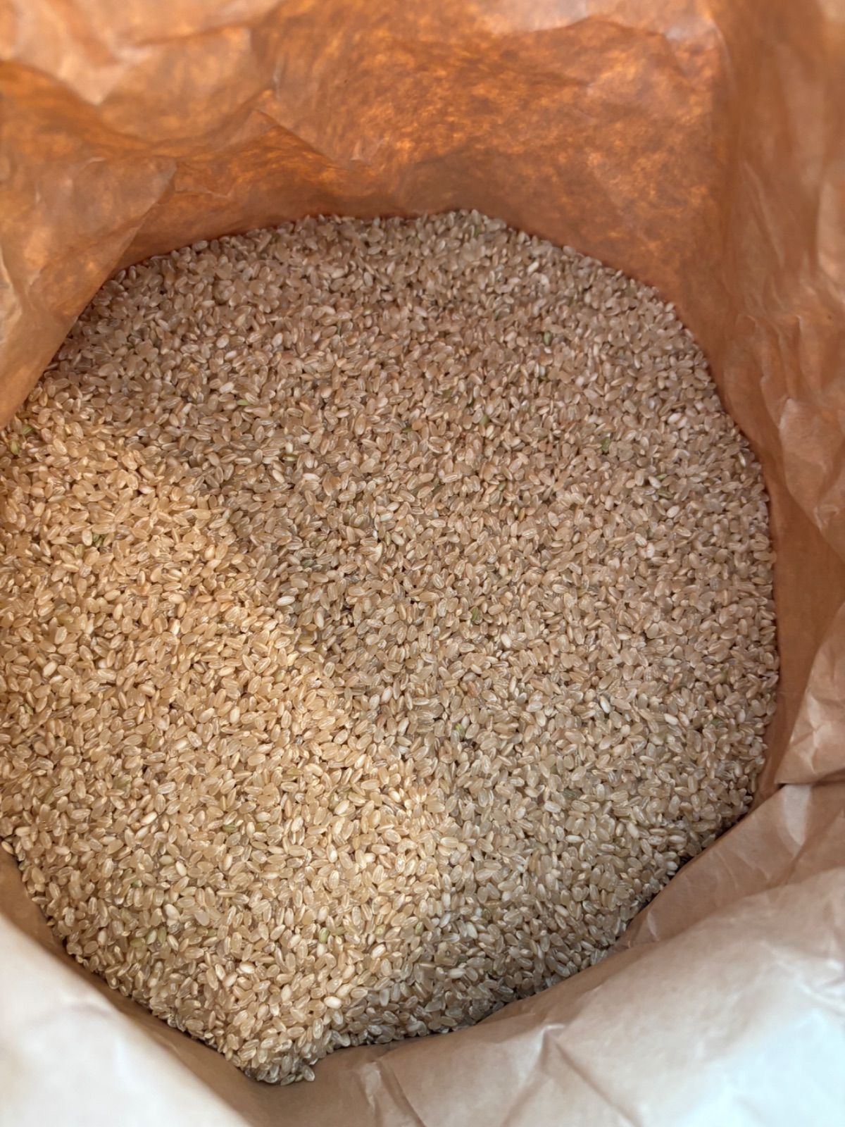 単一生産者米玄米20kgを精米発送