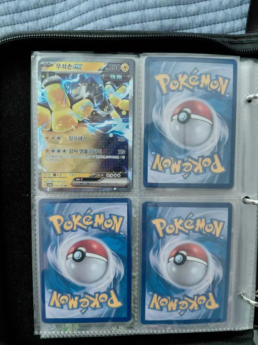 記念日 リザードン