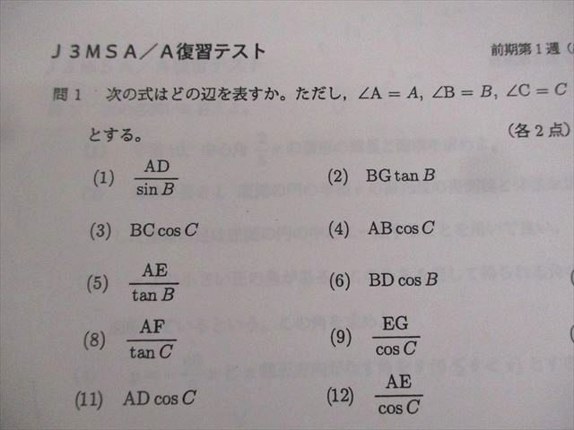 鉄緑会 鉄緑会大阪校の高3数学SA⁄A1統一テストセミナー10回分 テスト