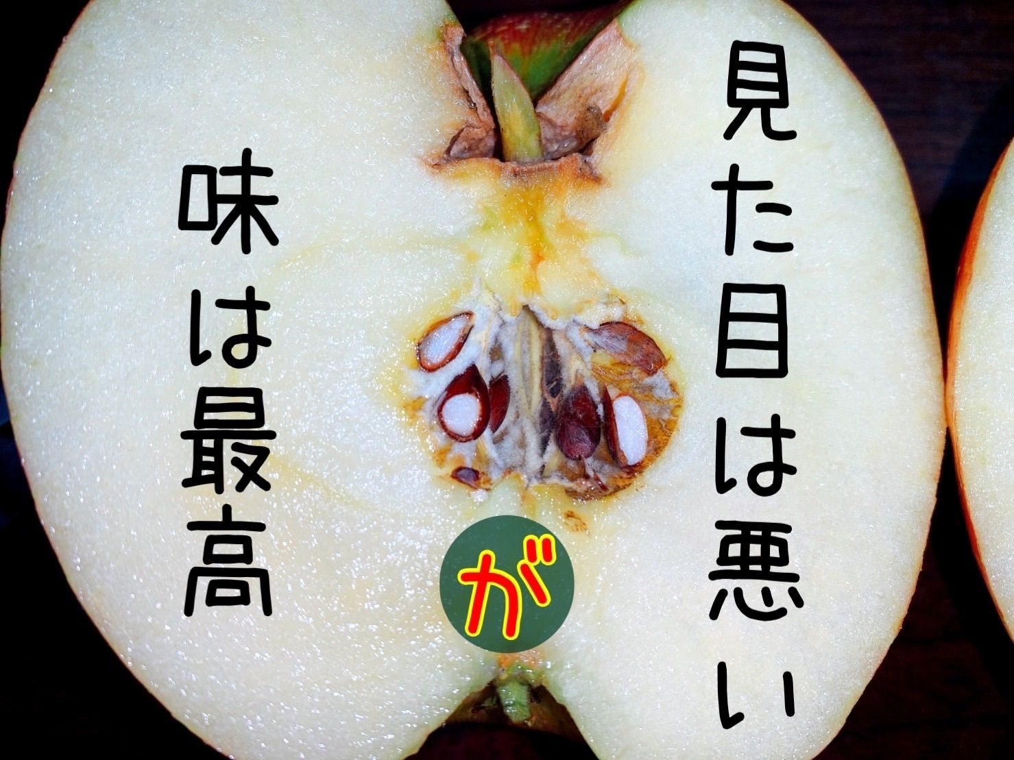 青森県産　サンふじ　りんご　超訳あり　約10㎏