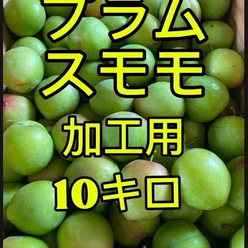 すもも10kg 青ソルダム，すもも，10キロ箱込み . 酸っぱい( 加工用) - メルカリ