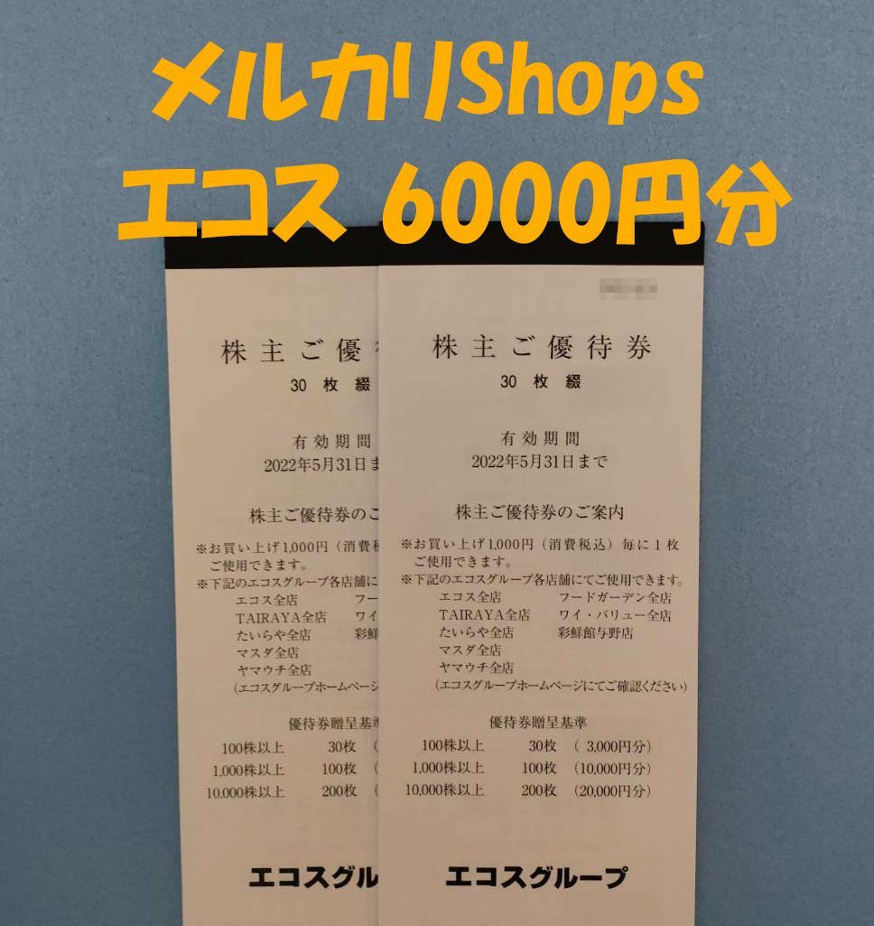 ヨシックス株主優待券20000円分 侘し
