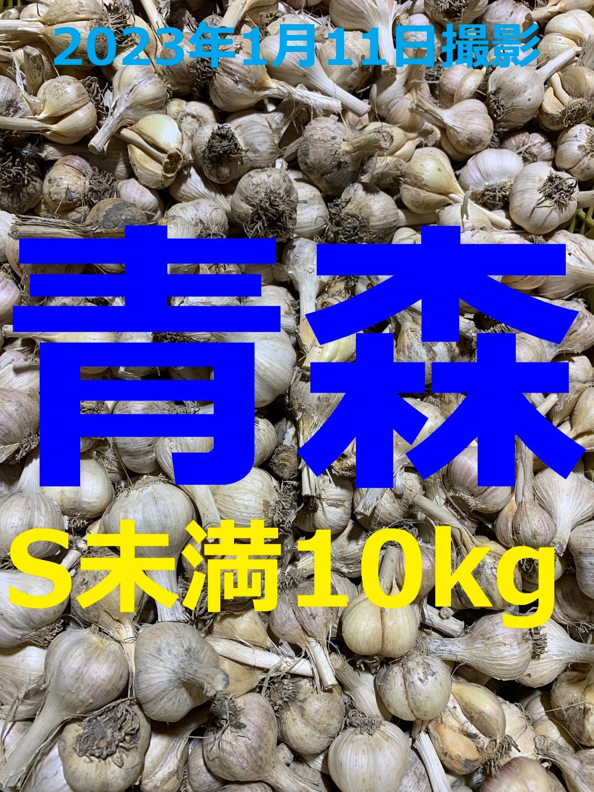 青森県にんにく10Kg  S