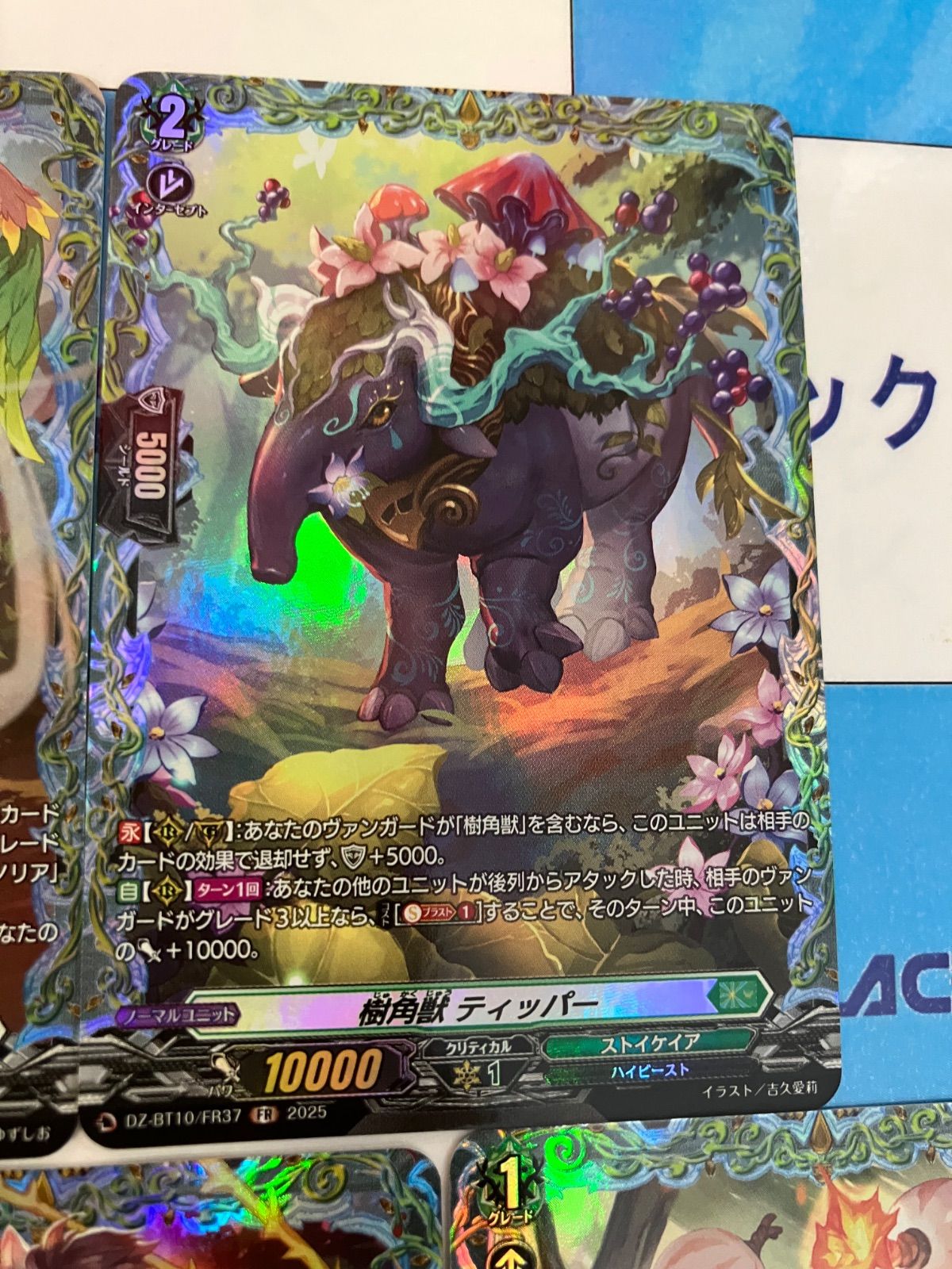 ヴァンガード/竜魂鳴導/ストイケイア/SR以下/4コン ヴァンガード】竜魂鳴導 ストイケイア RRR以下4コンの通販