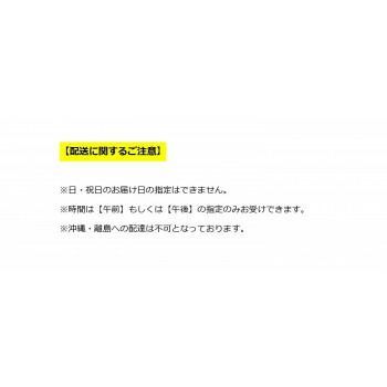 セキュリティデスクターナ