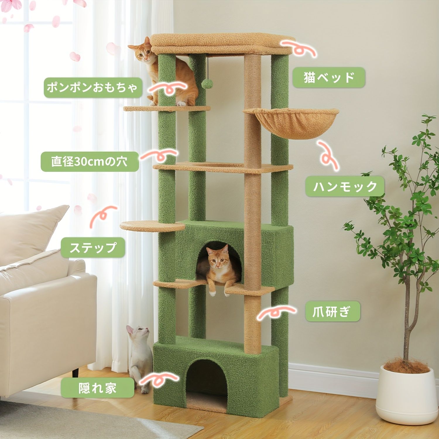 トップパーチ付き