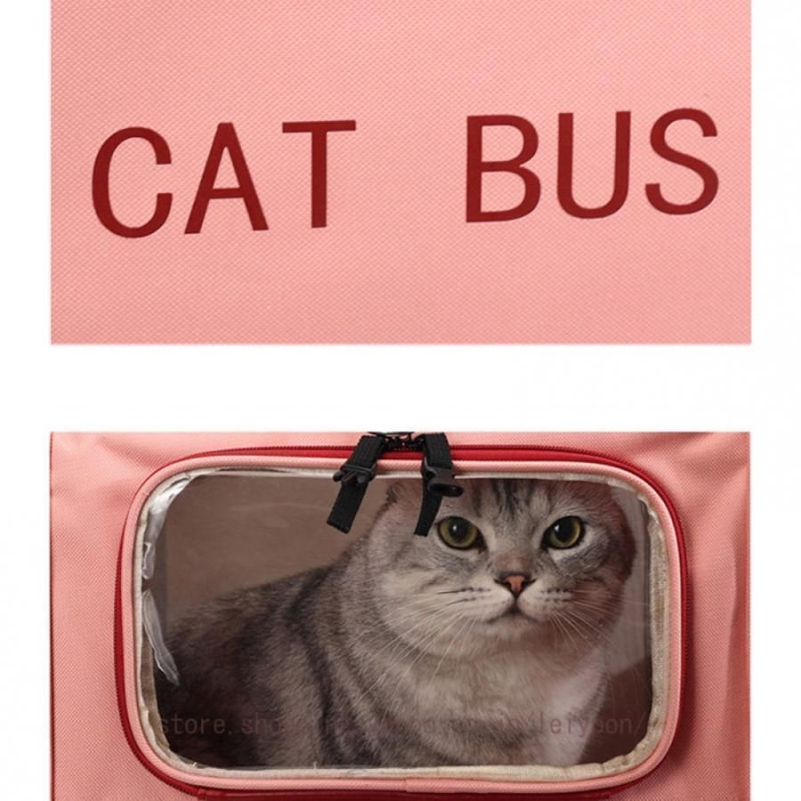 うさぎ