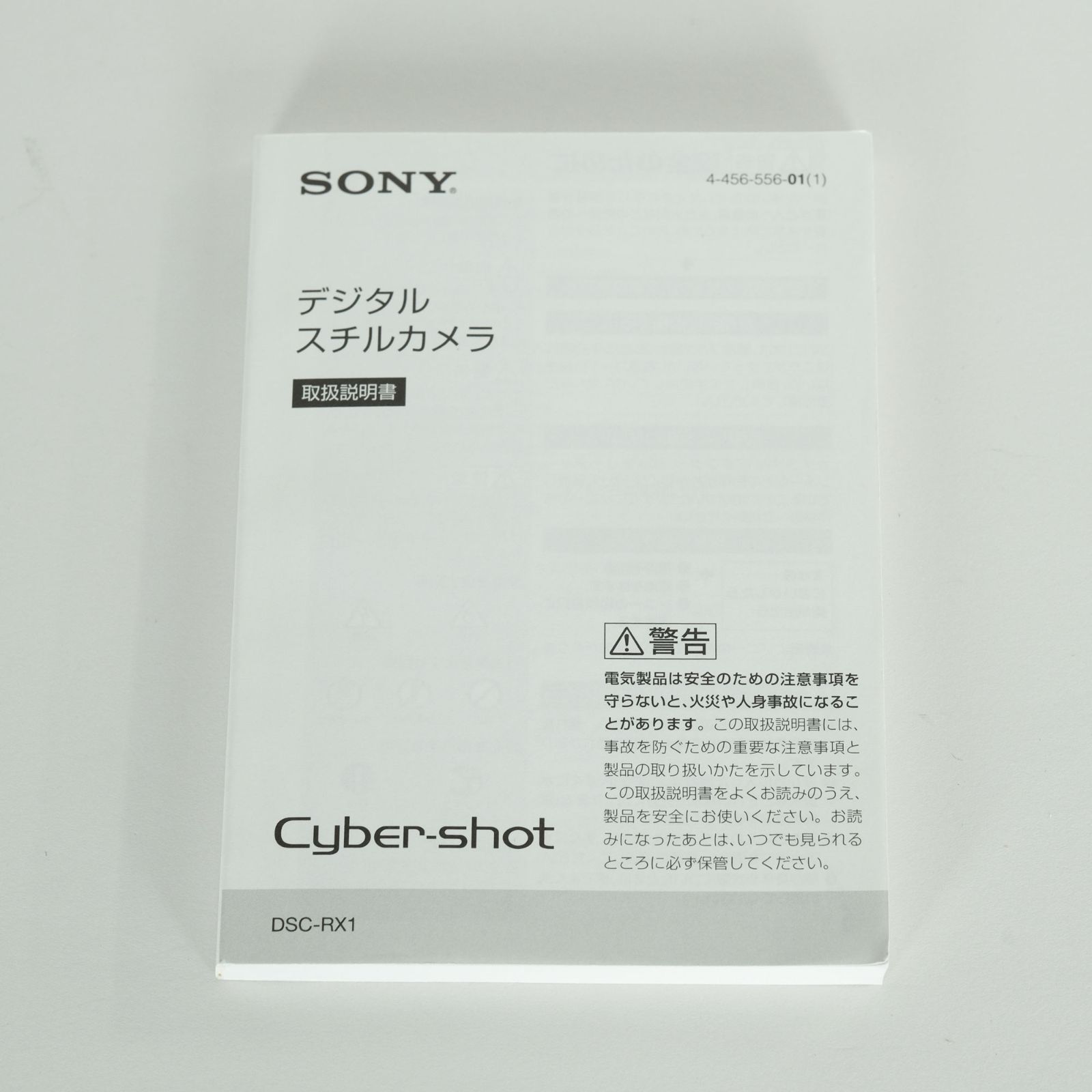 DSC-RX1