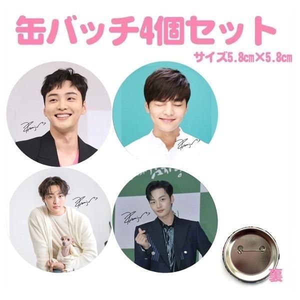 nct home 缶バッジ トレカ セット クレーンゲーム ジェミン nct home 缶バッジ トレカ セット クレーンゲーム ジェミン