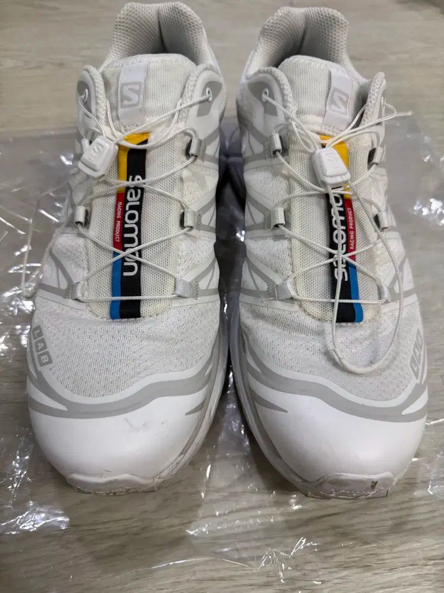 ジャボチカバ 大葉種 実付き kamaya さん専用 ジャボチカバ 大葉種