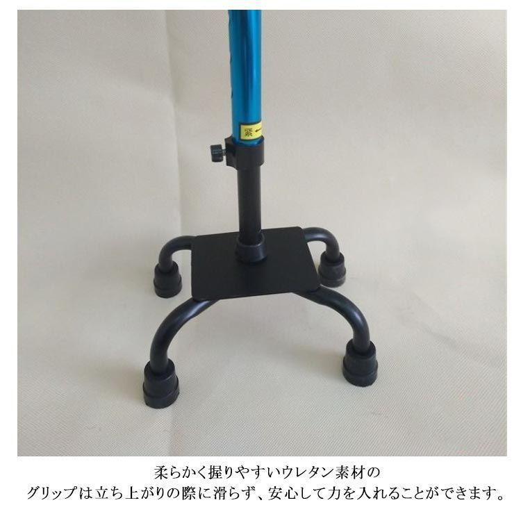補助 介