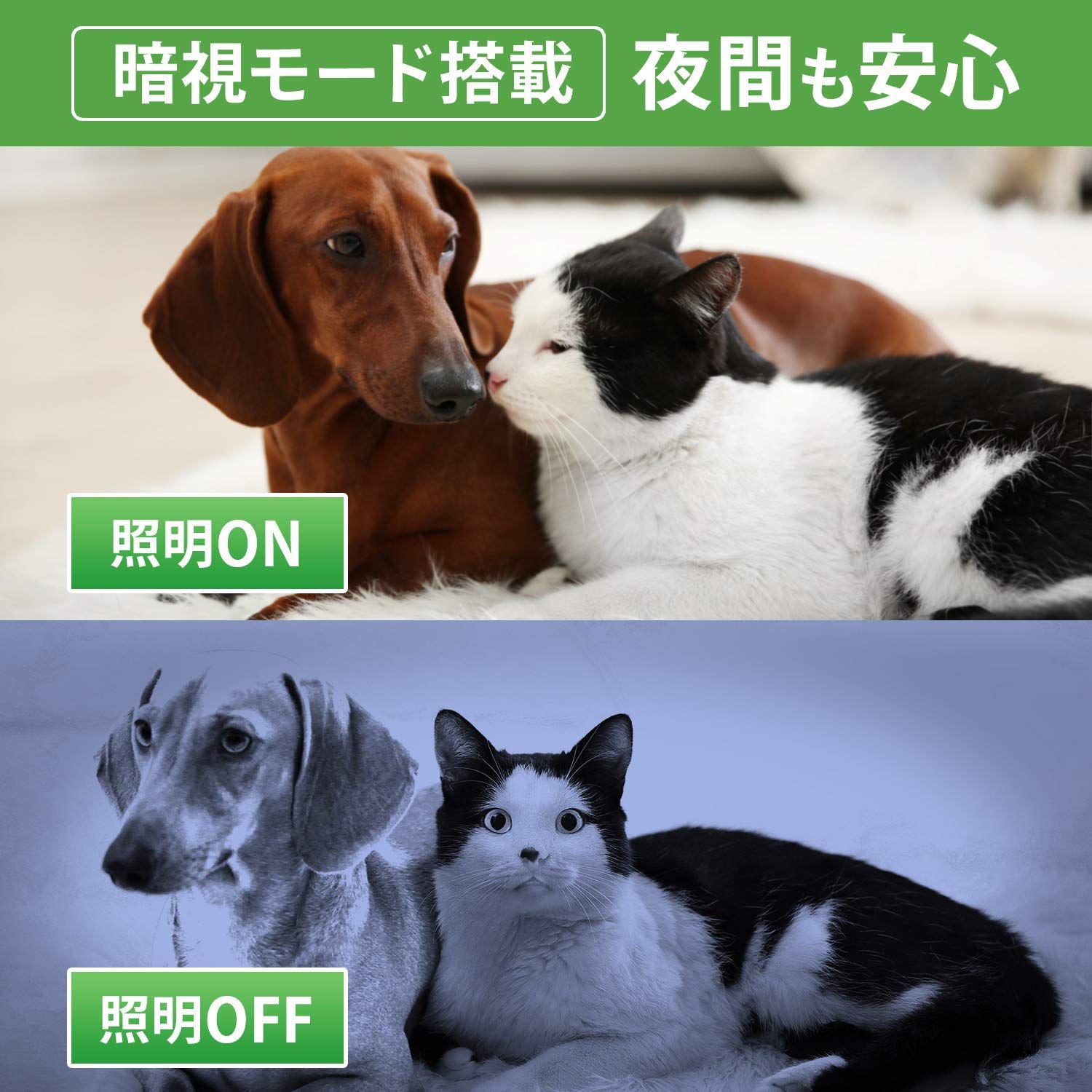 暗視撮影