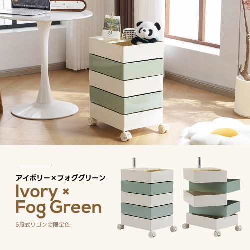 p*n様 斑入りモンステラ実付きホワイトタイガー68cm 大型葉 極美株 ベアル p*n様 斑入りモンステラ実付きホワイトタイガー68cm 大型葉 極美株