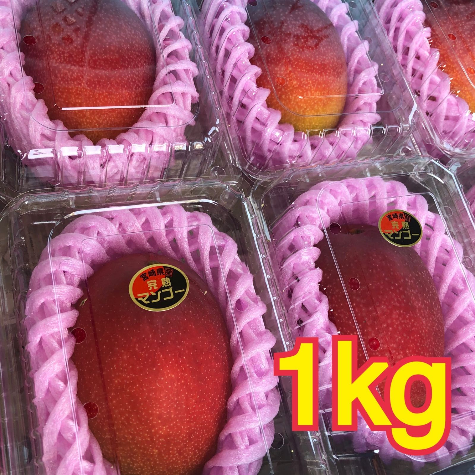 宮崎県産 完熟マンゴー 1kg 3~4玉 フルーツパック詰め