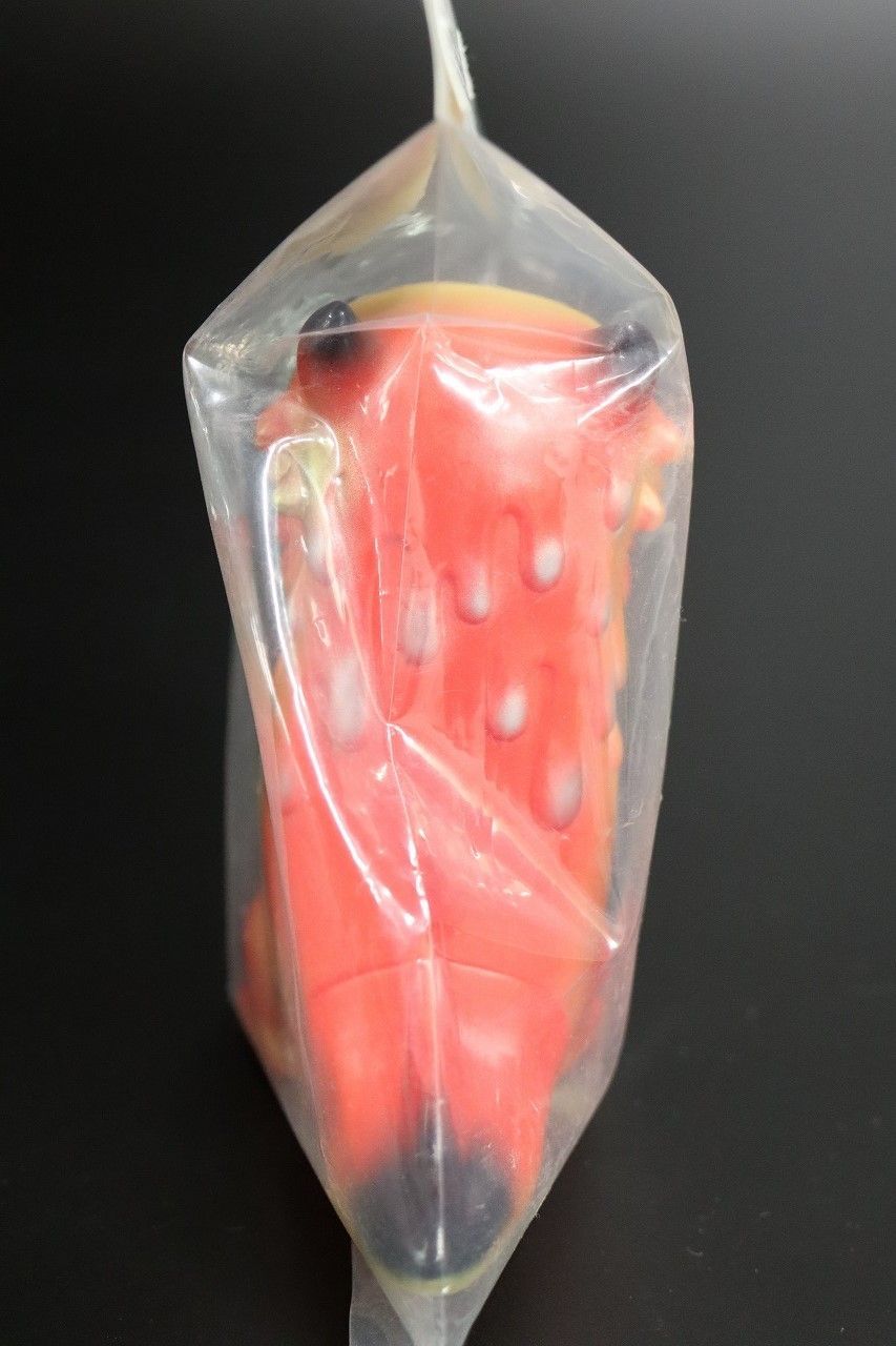 蓄光