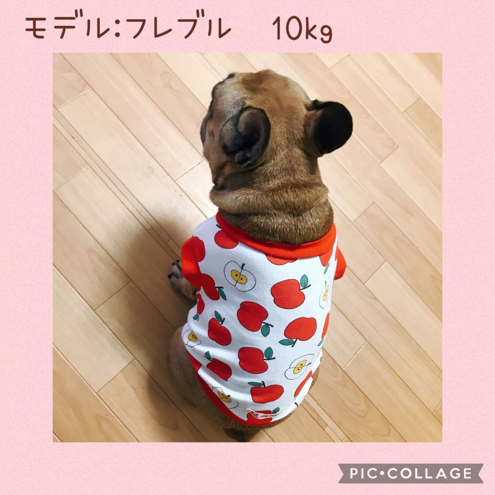 フレブルサイズ 犬服 フルーツ柄 ハンドメイド - メルカリ